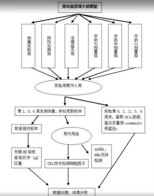 23個(gè)可編輯技術(shù)路線圖模板與繪制技巧 含國自然九大熱點(diǎn)領(lǐng)域應(yīng)用指南